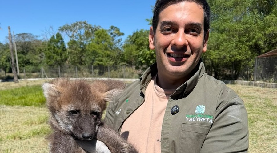 José Alvarenga responsable ambiental de la EBY con un ejemplar de aguará guazú